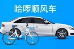 【详细教程】德州公司咨询电话号码_哔哩哔哩-3